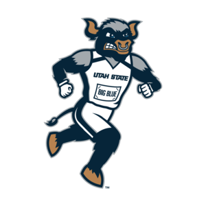 Big Blue Cross Country Sticker 3 IN